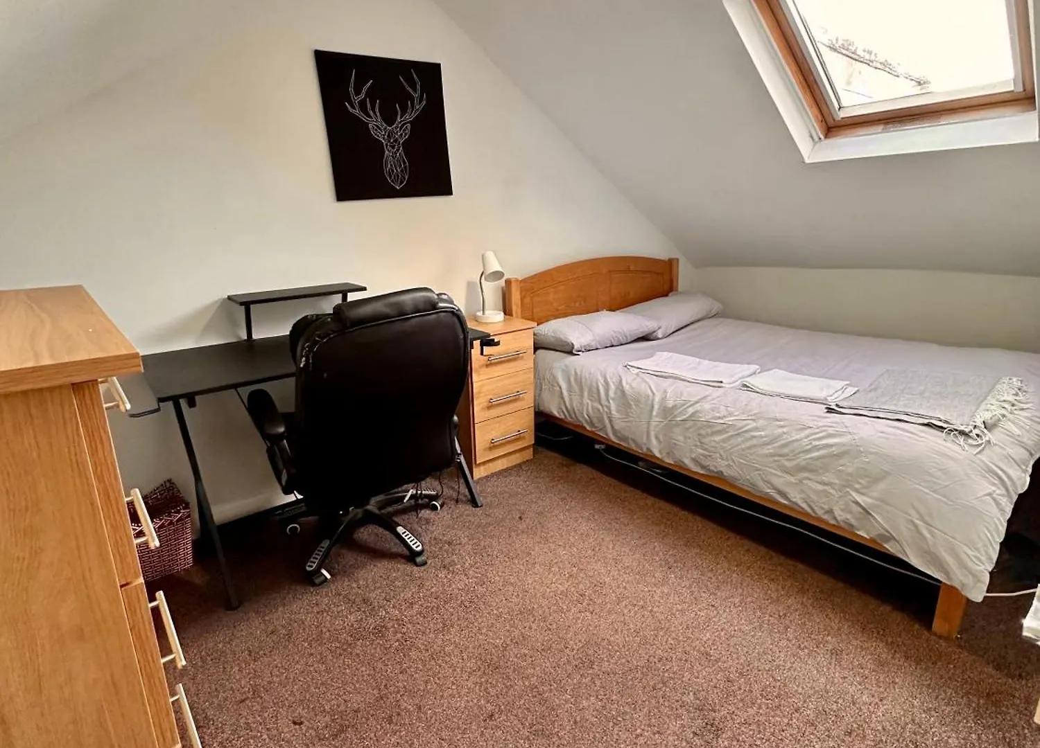 Spacious Room In Dublin Homestay